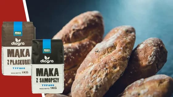 Jaka to jest mąka pszenna chlebowa i jak wpływa na wypieki? Jaka to jest mąka pszenna chlebowa i jak wpływa na wypieki?