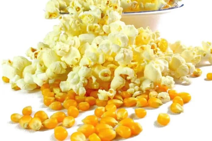 Czy można zrobić popcorn do mikrofalówki w piekarniku? Sprawdź! Czy można zrobić popcorn do mikrofalówki w piekarniku? Sprawdź!